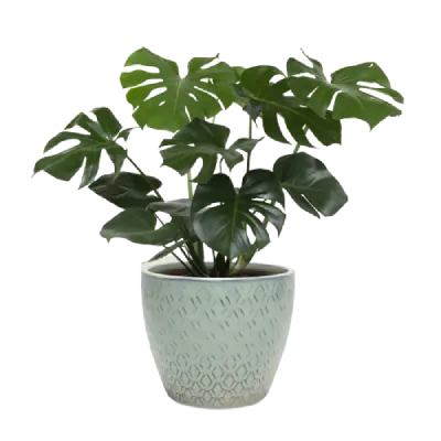 Stack Planters
